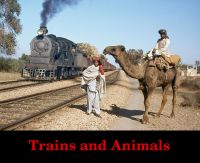 Cover for 'Trains and Animals'