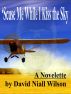 'Scuse Me While I Kiss the Sky by David Niall Wilson