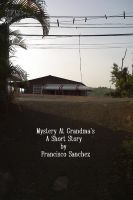 Cover for 'Mystery At Grandma's'