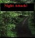 Night Attack! by Monica P