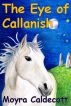 The Eye of Callanish by Moyra Caldecott