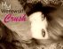 My werewolf crush by Hailey Banks