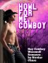 Howl For Me, Cowboy by Stroker Chase