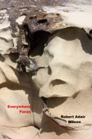 Cover for 'Everywhere ... Faces'