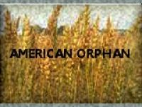 Cover for 'American Orphan'