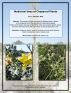 Medicinal Uses of Chaparral Plants by Eric J. Guignard