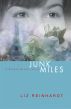 Junk Miles: A Brenna Blixen Novel (Book 2) by Liz Reinhardt