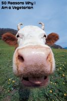 Cover for '50 Reasons Why I Am a Vegetarian'