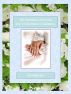 The Wedding Guide For Your Perfect Wedding by Dee Phillips