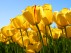 Marketing resources for the Cache Valley by Logan SBDC