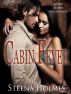 Cabin Fever by Steena Holmes 
