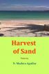 Harvest of Sand by Narciso Madera Aguilar