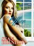 An Office Virgin by Sean Brandon