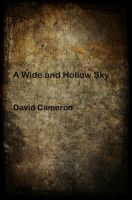Cover for 'A Wide and Hollow Sky'