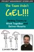 Project Management Screw-Ups: The Team Didnâ€™t Gel-Getting Teams to Work Together and Deliver Results by Lonnie Pacelli