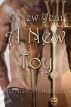 A New Year, A New Toy by Brenda Stokes Lee