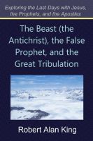 Cover for 'The Beast (the Antichrist), the False Prophet, and the Great Tribulation (Exploring the Last Days with Jesus, the Prophets)'