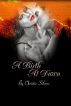 A Birth At Dawn (Alex & Fiona, book 2) by Christie Silvers
