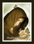 War of Roses by Sihem Hammouda