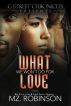 What We Won't Do for Love (The Love, Lies & Lust Series) by Mz Robinson