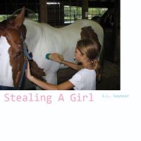 Cover for 'Stealing A Girl'