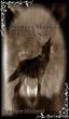 Shifters Madness Lucia's Story by Cadence Michaels