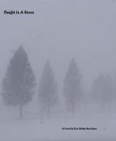 Caught in a Storm cover