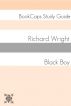 Black Boy (A BookCaps Study Guide) by BookCaps 
