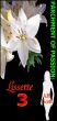 Parchment Of  Passion: Lissette 3 by A.H.  Scott