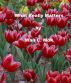What really matters? by Wan C. Mok
