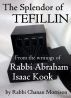 The Splendor of Tefillin: Insights into the Mitzvah of Tefillin From the Writings of Rabbi Abraham Isaac HaKohen Kook by Chanan Morrison