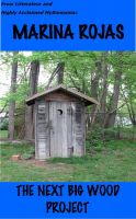Cover for 'The Next Big Wood Project'