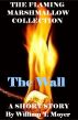 The Wall by William T. Moyer