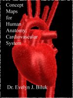 Cover for 'Concept Maps for Human Anatomy: Cardiovascular System'