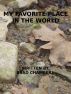 My Favorite Place in The World by Brad Chambers