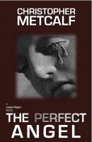 Cover for 'The Perfect Angel'