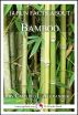 14 Fun Facts About Bamboo: A 15-Minute Book by Caitlind Alexander