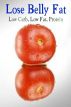 Lose Belly Fat : Low Carb Low Fat Protein by  