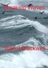 Breaking Waves by Scarlet Blackwell