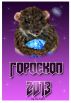 Ð“Ð¾Ñ€Ð¾ÑÐºÐ¾Ð¿ 2013 by Hu Guru