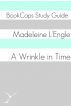 A Wrinkle in Time (A BookCaps Study Guide) by BookCaps 