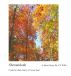 Shenandoah by CE Wills