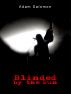 Blinded by the Sun by Adam Salomon