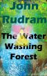The Water Washing Forest by John Rudram
