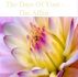 The Days Of Yore -  The Affair by Monica P