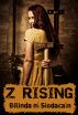 Z Rising by Bilinda Ní Siodacaín