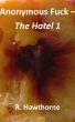 Anonymous Fuck - The Hotel 1 by R Hawthorne