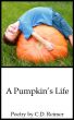 A Pumpkin's Life by C.D. Reimer