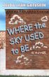 Where the Sky Used to Be by Zelda Leah Gatuskin