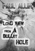 Long View From A Bullet Hole by Paul Allih